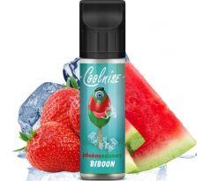 Příchuť CoolniSE S&V 10ml BIBOON