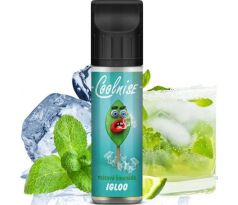 Příchuť CoolniSE S&V 10ml IGLOO